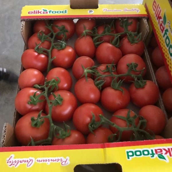 Toptan Domates  Satışı